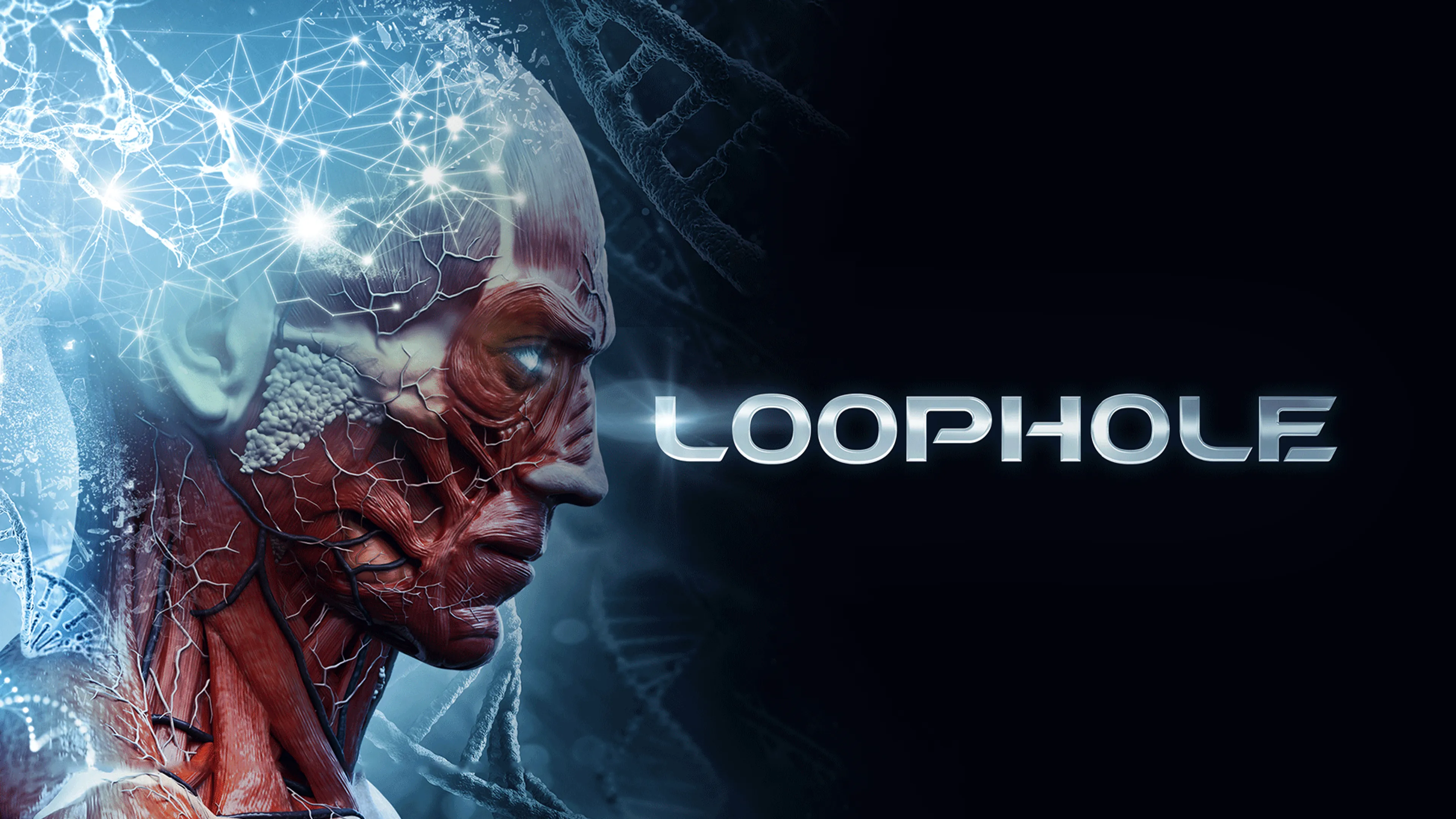 Loophole poster